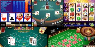 Top Crazy Facts That You Don’t Know About Gambling and Casinos