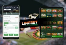 Linebet app