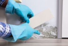 The Essential Guide to Mold Testing: What You Need to Know