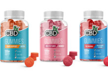 Why CBDfx CBD Gummies Are Worth Trying